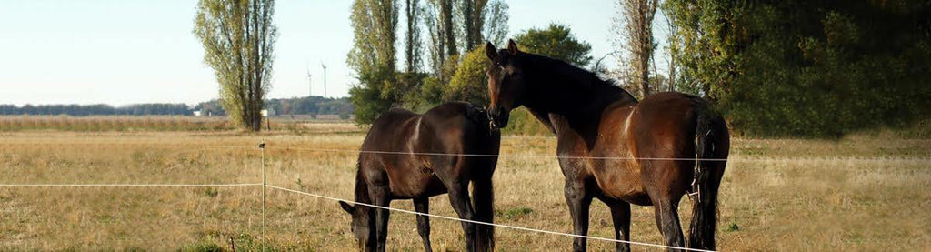 Fencing - RanchBoost
