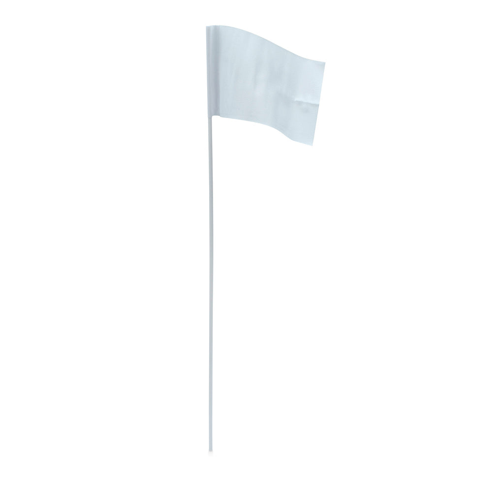 training flags electric dog fence system