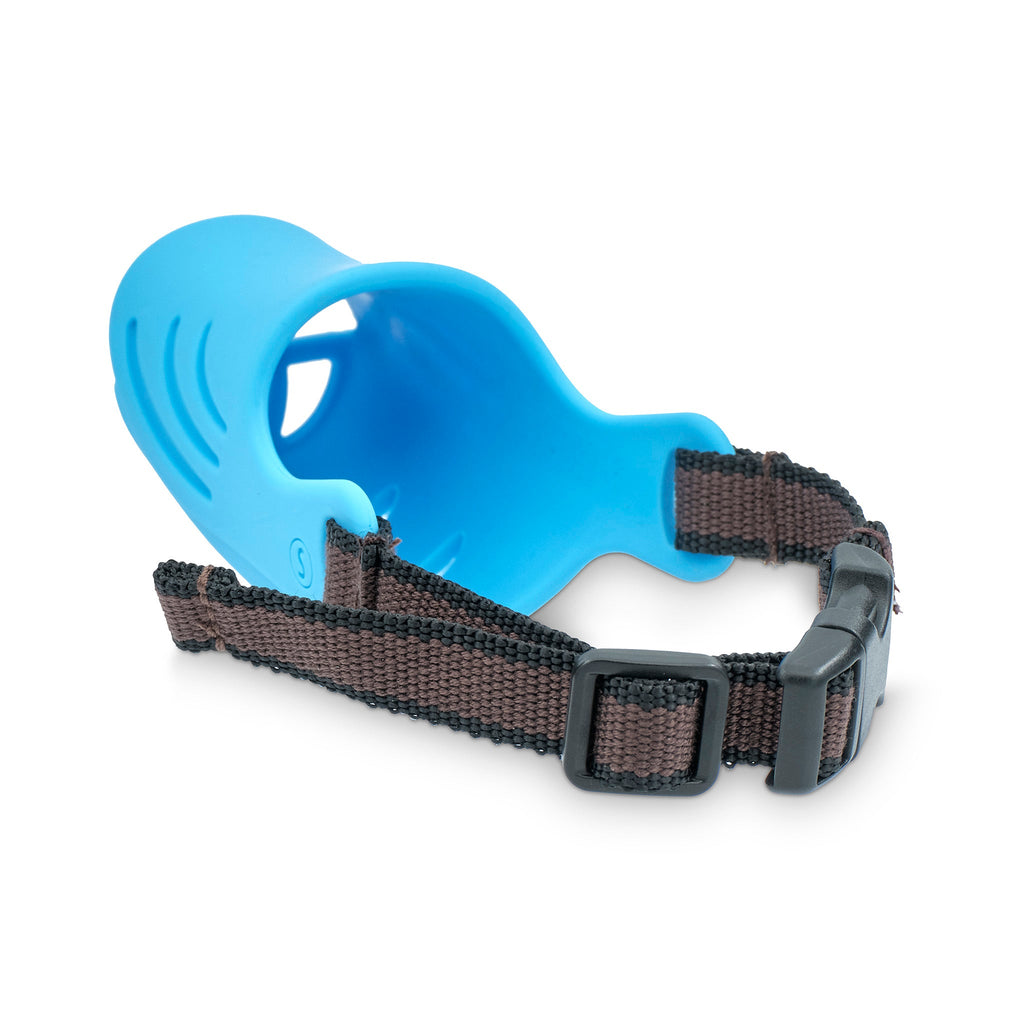 small dog muzzle