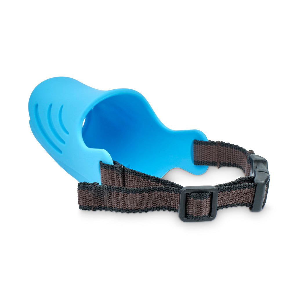 small dog muzzle