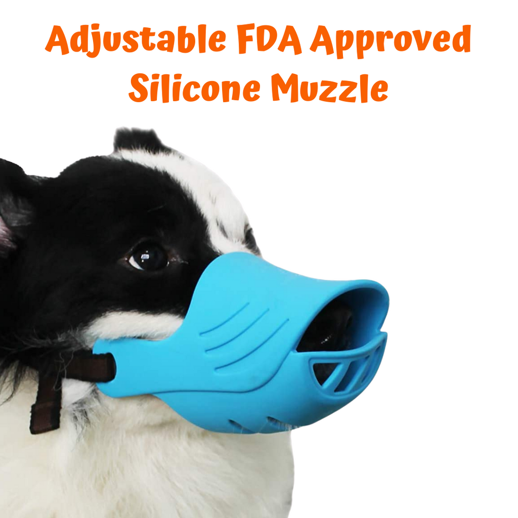 small dog muzzle