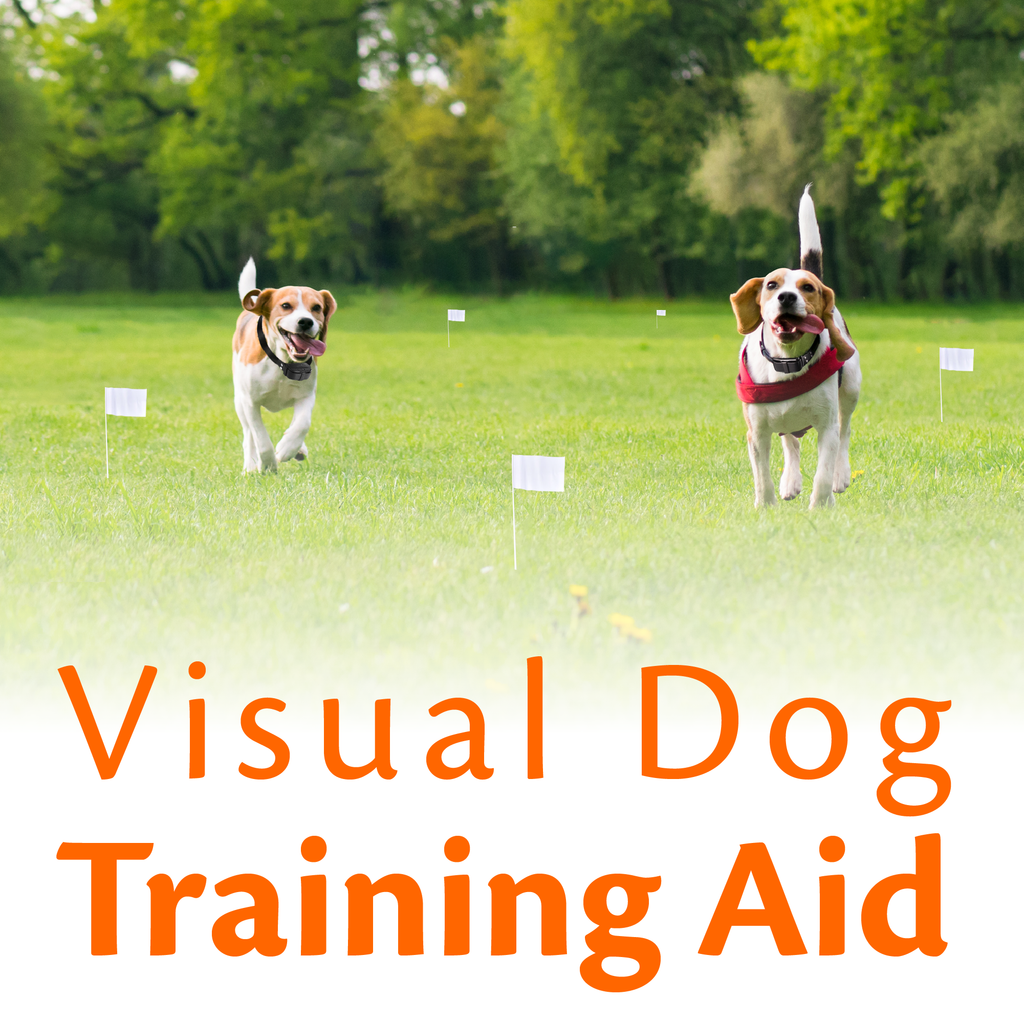 training flags electric dog fence system