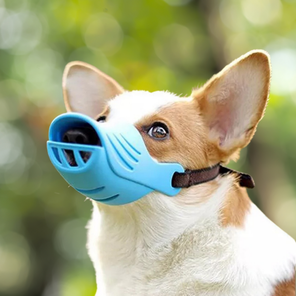 small dog muzzle