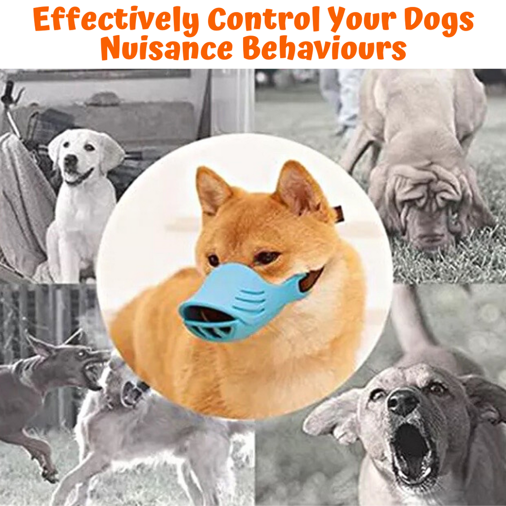 small dog muzzle