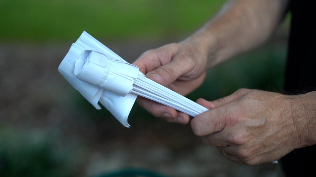 training flags electric dog fence system