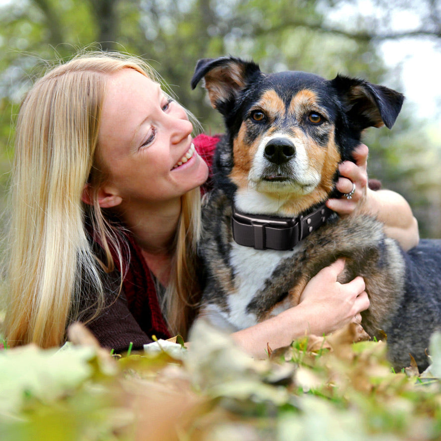 ranchboost extra collar for remote hunting dog trainer
